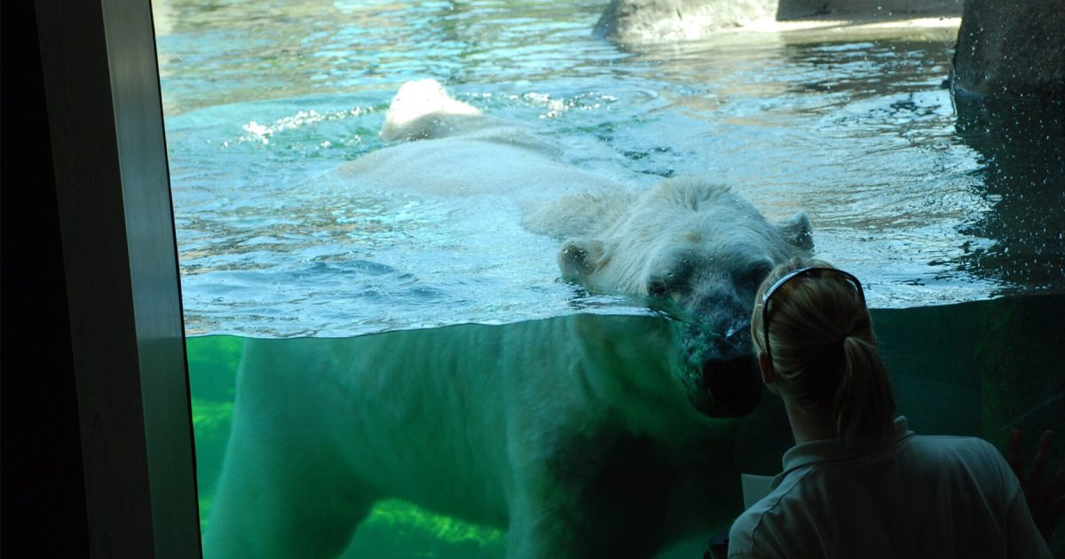 Things to Do Roseville MN | Attractions Twin Cities