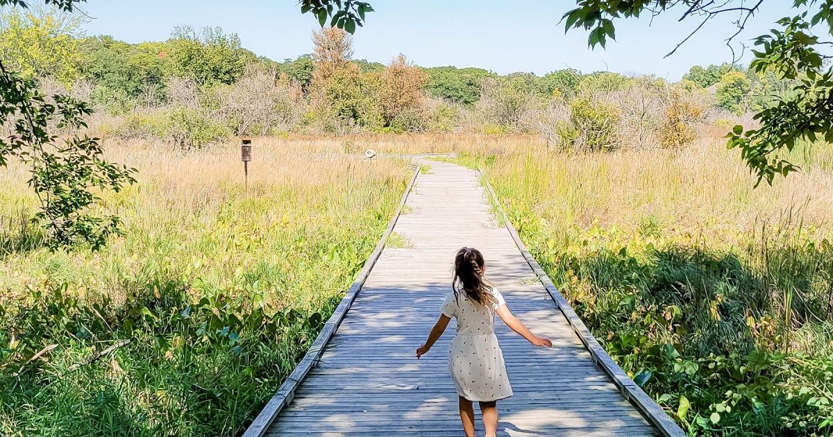 Harriet Alexander Nature Center Visit Roseville, MN