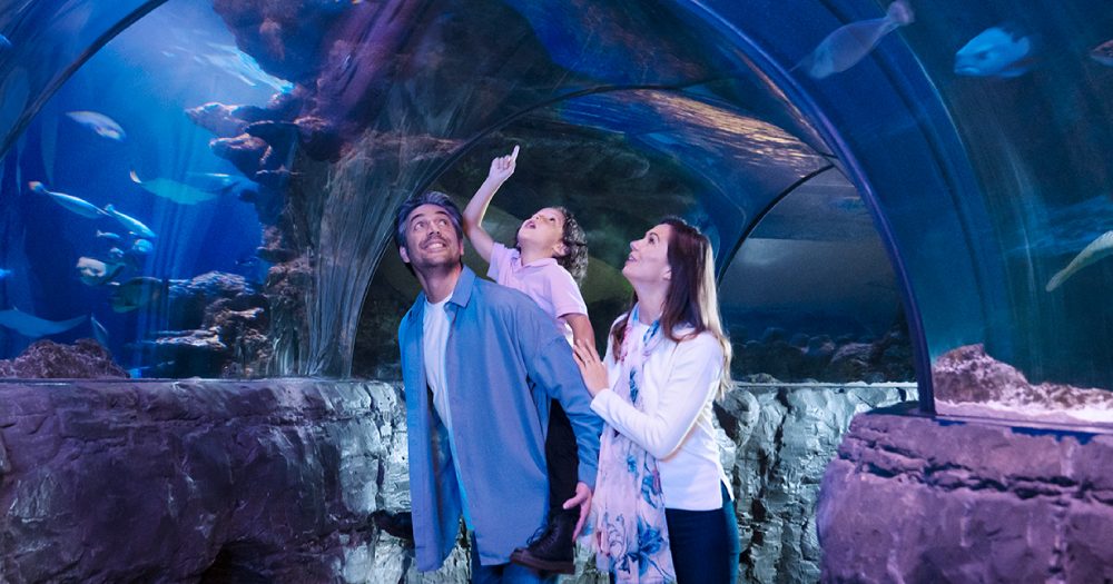 Sea Life Minnesota Aquarium Visit Roseville, MN